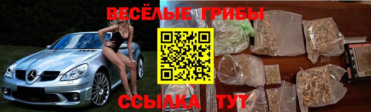 Галлюциногенные грибы GOLDEN TEACHER Вичуга