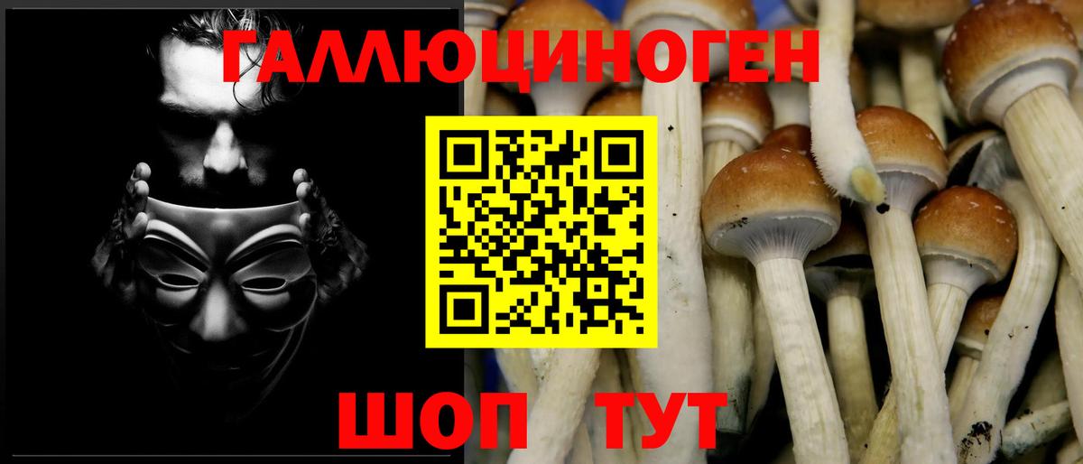 Псилоцибиновые грибы Psilocybe  Вход с VPN  Вичуга 